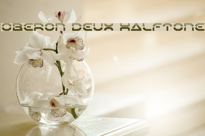 Oberon Deux Halftone Example 2