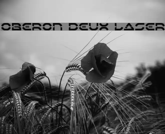 Oberon Deux Laser Font examples