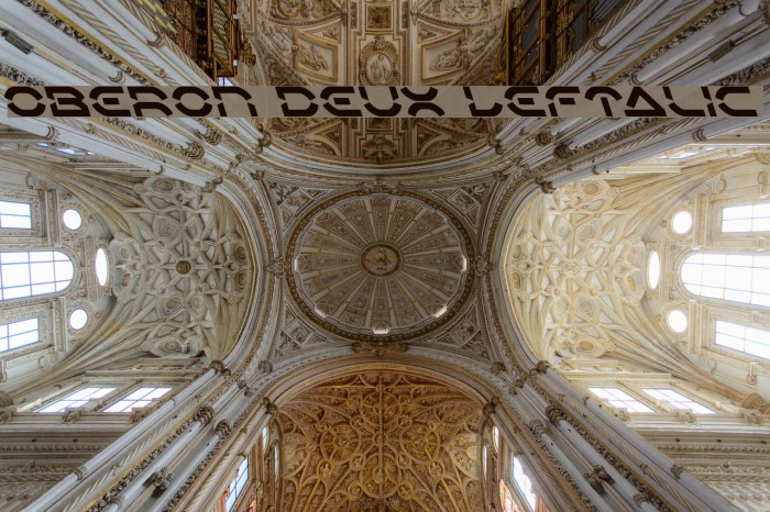 Oberon Deux Leftalic Font examples