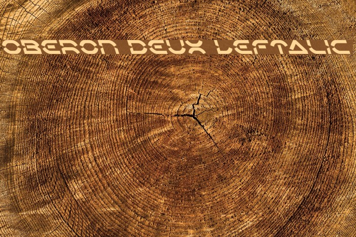 Oberon Deux Leftalic Font examples