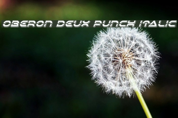 Oberon Deux Punch Italic Font examples