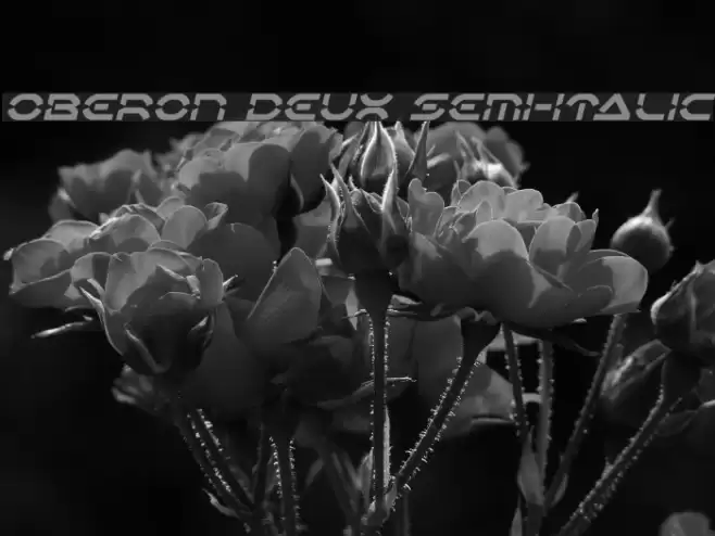 Oberon Deux Semi-Italic Font examples