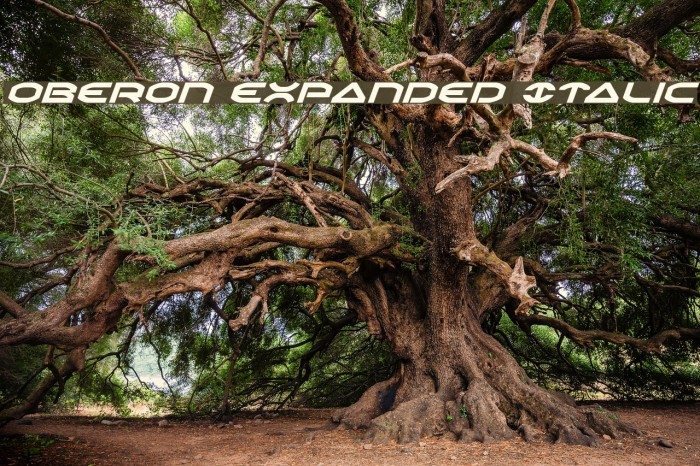 Oberon Expanded Italic Font examples