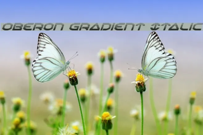 Oberon Gradient Italic Example 2