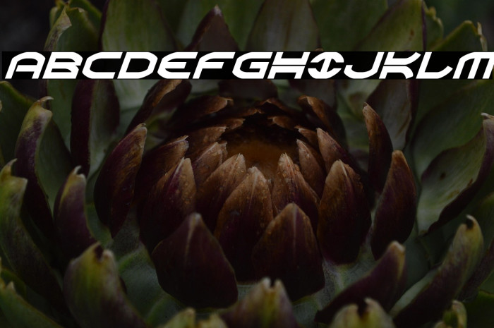 Oberon Italic Example 3