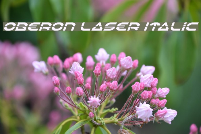 Oberon Laser Italic Font examples