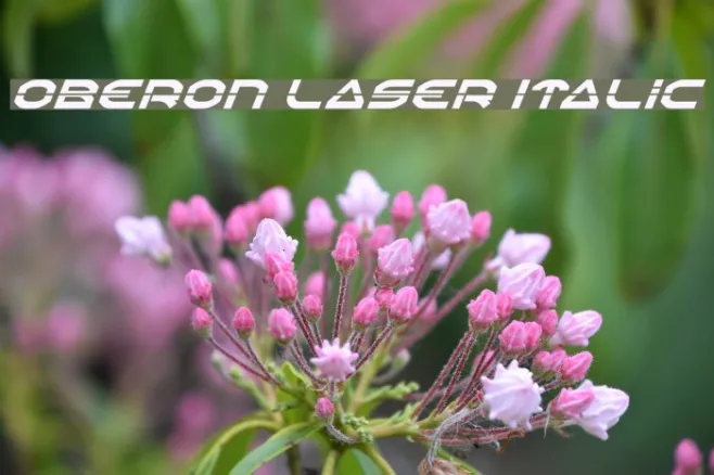 Oberon Laser Italic Example 3