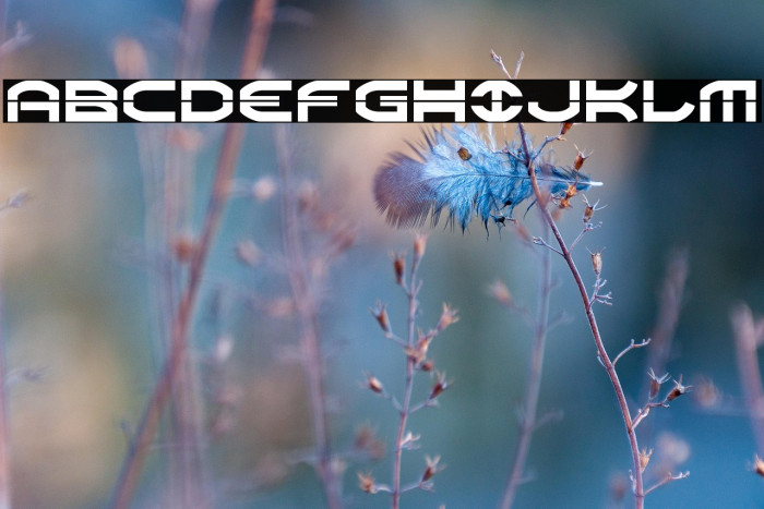 Oberon Laser Example 1