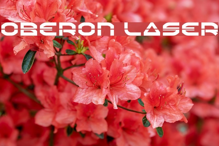 Oberon Laser Font examples