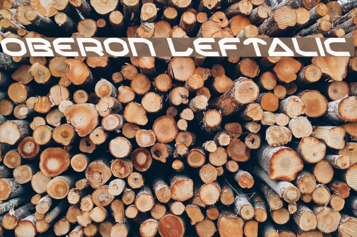 Oberon Leftalic Font examples