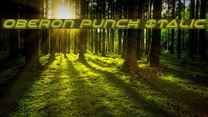 Oberon Punch Italic Font examples