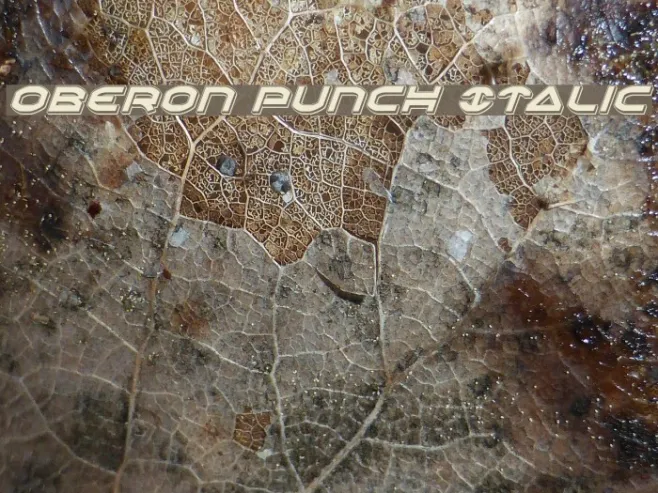 Oberon Punch Italic Example 2