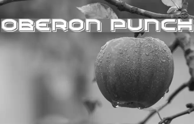 Oberon Punch Font examples