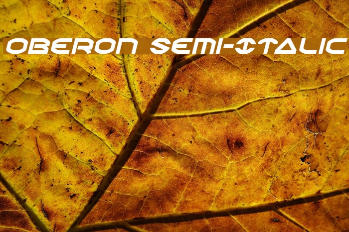 Oberon Semi-Italic Font examples