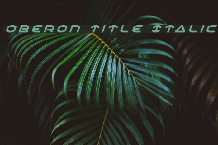Oberon Title Italic Font examples