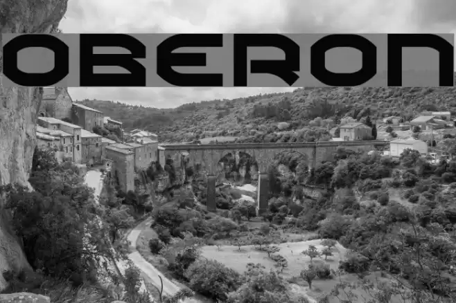 Oberon Polices examples