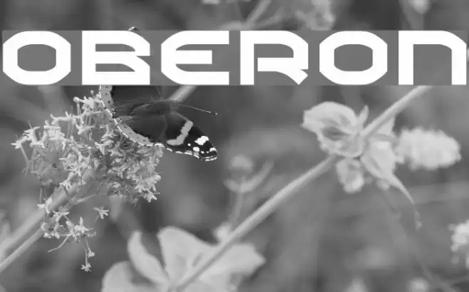 Oberon Polices examples