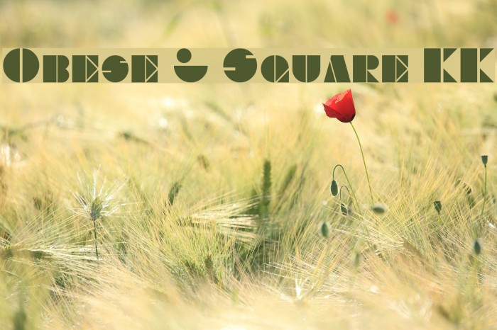 Obese & Square KK Font examples