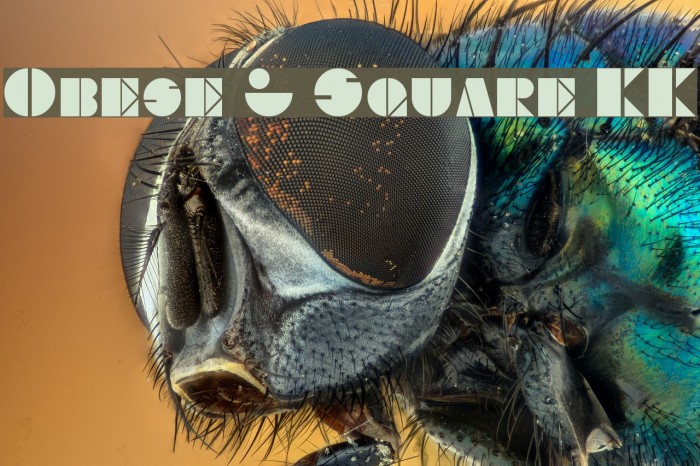 Obese & Square KK Font examples