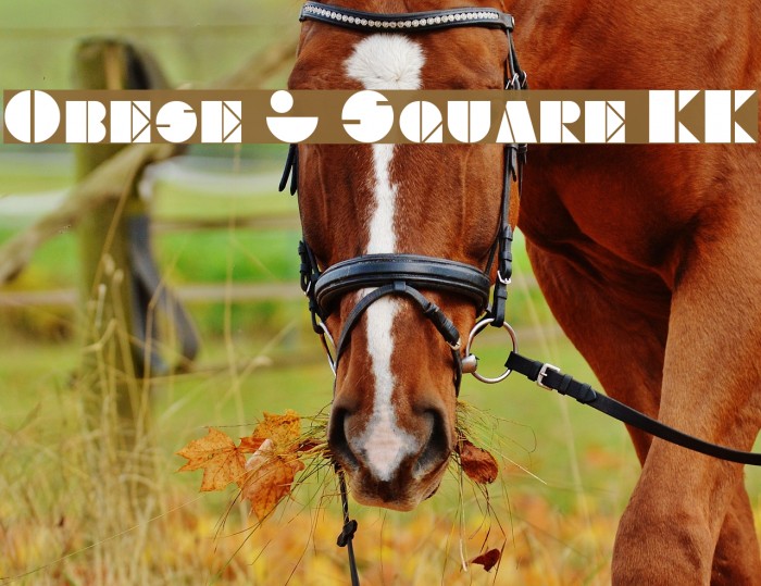 Obese & Square KK Font examples