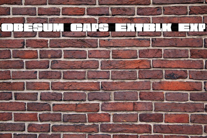 Obesum Caps ExtBlk Exp Example 2