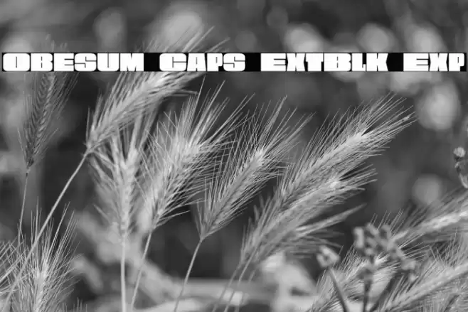 Obesum Caps ExtBlk Exp Font examples