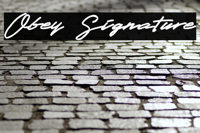 Obey Signature Example 1