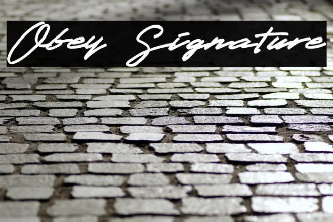 Obey Signature Example 1