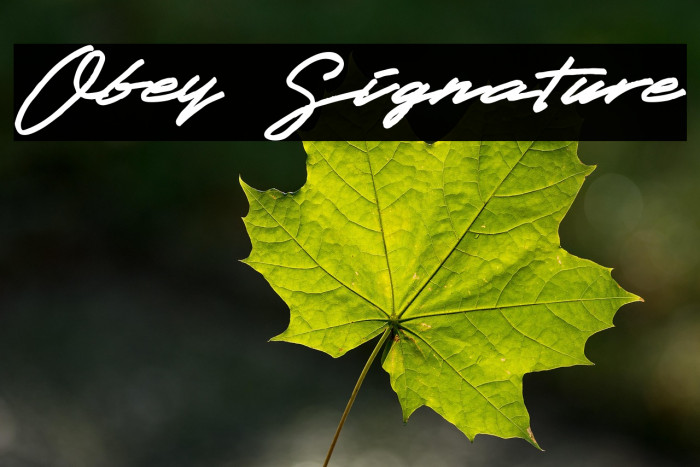 Obey Signature Example 2