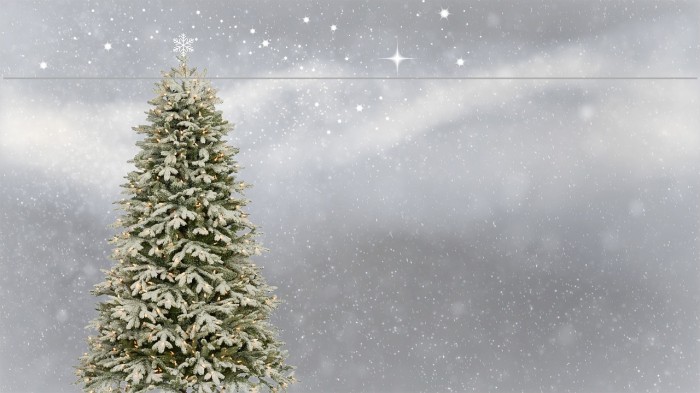 ObeyAssortyCaps Example 2