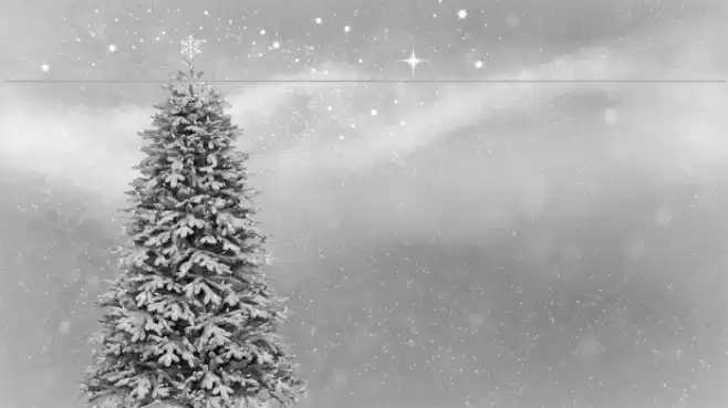 ObeyAssortyCaps Font examples