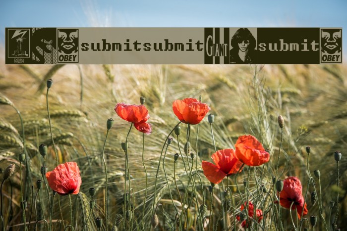 ObeyAssorty Example 2