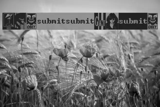 ObeyAssorty Font examples