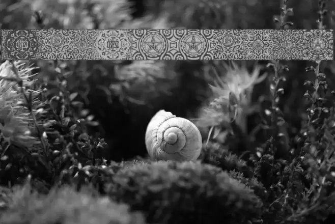 ObeyPatterns Font examples