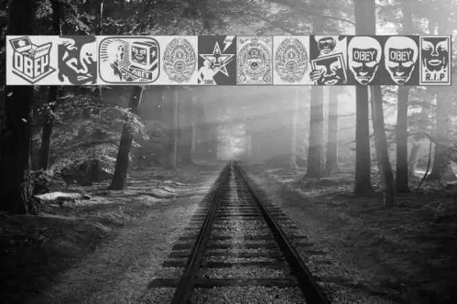 ObeyPotpourri Font examples