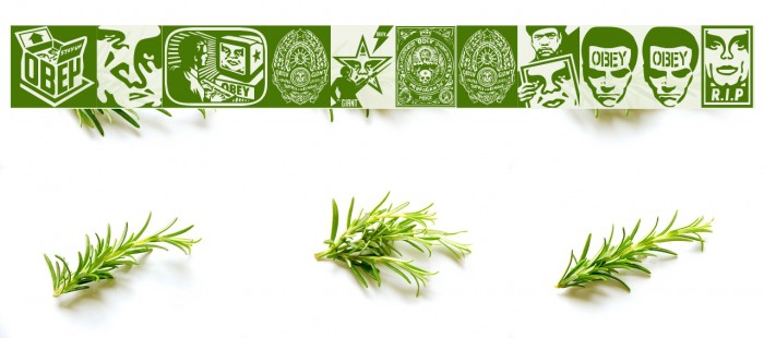 ObeyPotpourri Example 3