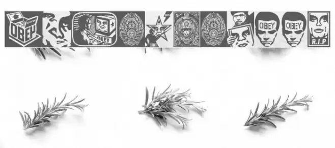 ObeyPotpourri Font examples