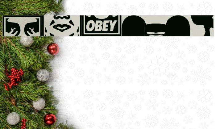 ObeyPuzzleCaps Example 1