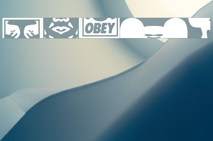 ObeyPuzzleCaps Example 2