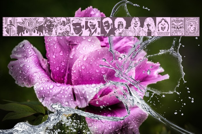 ObeyRockers Example 2