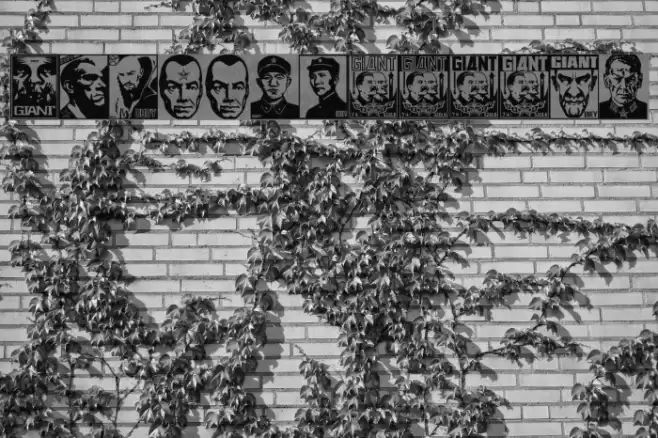 ObeyTyrant Font examples