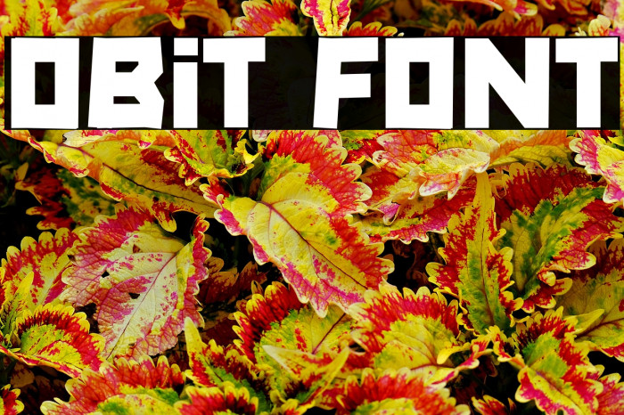 Obit Example 1