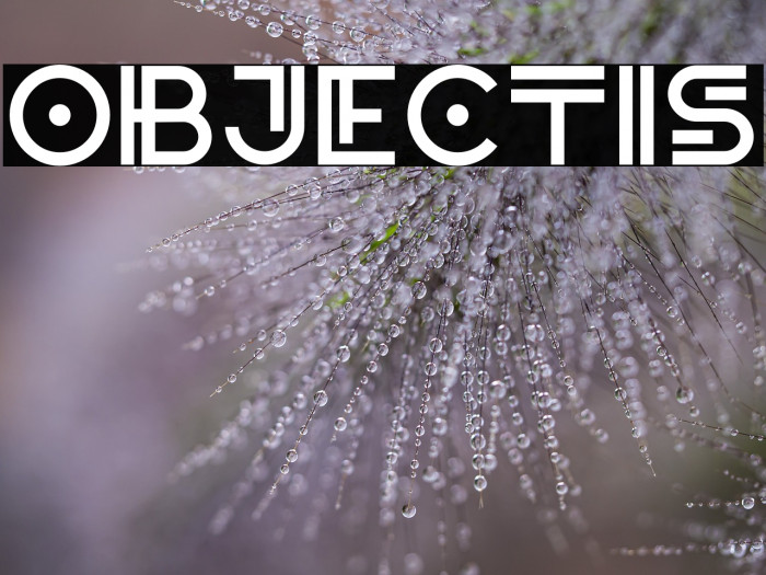 Objectis Example 1