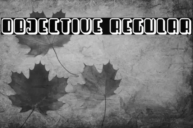 Objective Regular フォント examples