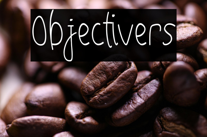 Objectivers Example 1