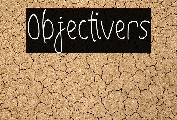 Objectivers Example 2