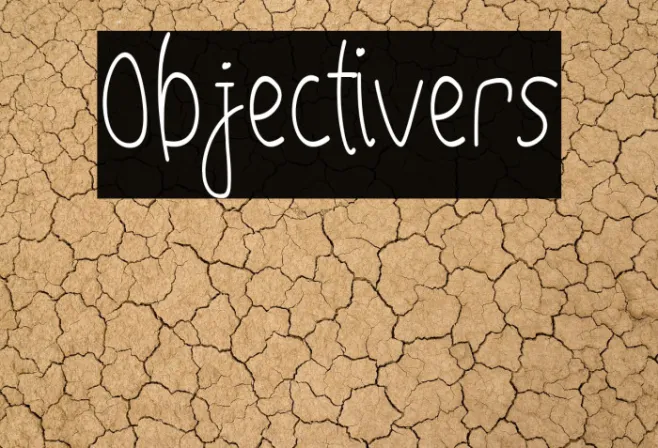 Objectivers Example 2