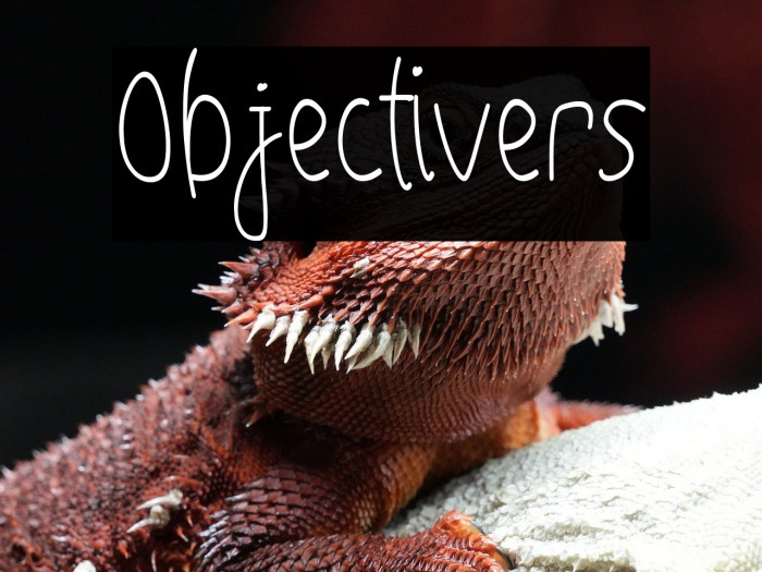 Objectivers Example 3