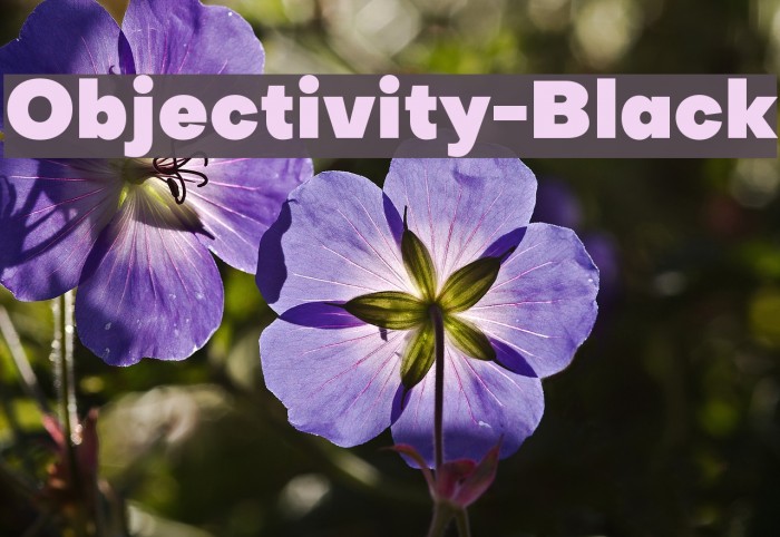 Objectivity-Black Example 1