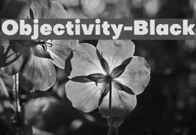 Objectivity-Black Font examples